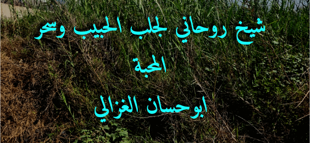 شيخ روحاني في السعودية