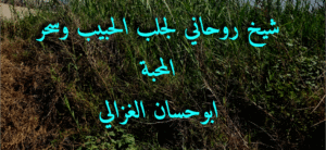 شيخ روحاني في السعودية